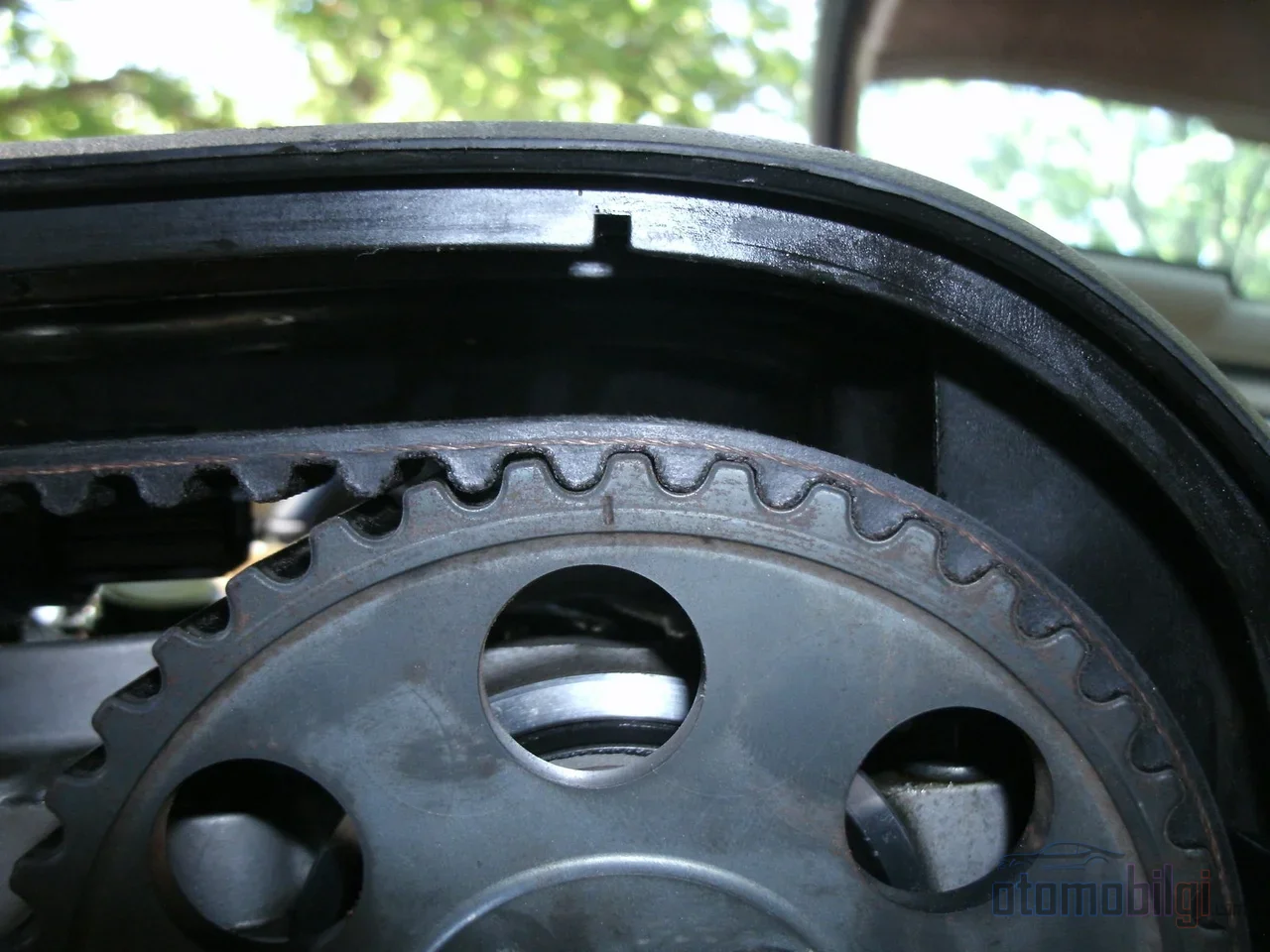 When the timing belt breaks, valves bend and pistons get crushed; the sole cause of thousands of lira in expenses can be nothing more than a neglected rubber belt.