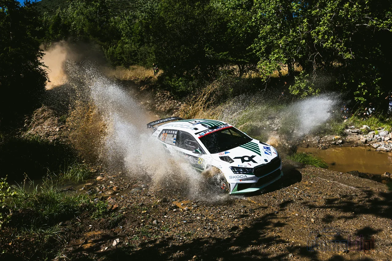 WRC2'de yarışan her araç, sokakta satılan ve en az 2.500 adet üretilmiş bir otomobilin yarış versiyonuna dayanmak zorunda.